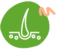 https://staging.healthychoicenepal.com/wp-content/uploads/2023/06/fue.png